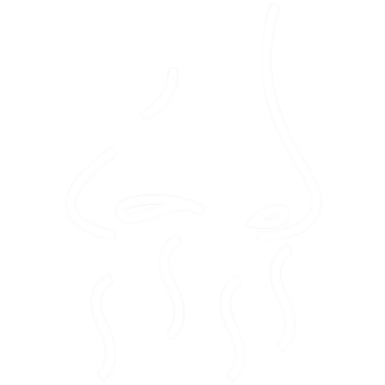 SmellVan logo